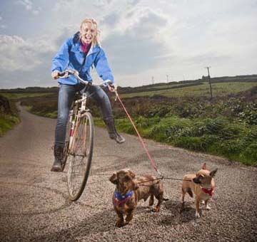 Dog friendly Cornish cottages, Sennen, Cornwall