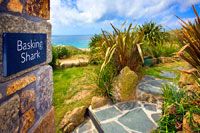 Basking Shark Holiday Cottage