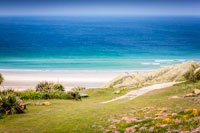 Basking Shark Holiday Cottage