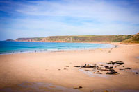 Basking Shark Holiday Cottage