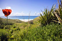 Basking Shark Holiday Cottage