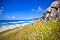 Basking Shark Holiday Cottage