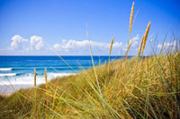 Basking Shark Holiday Cottage