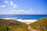 Basking Shark Holiday Cottage