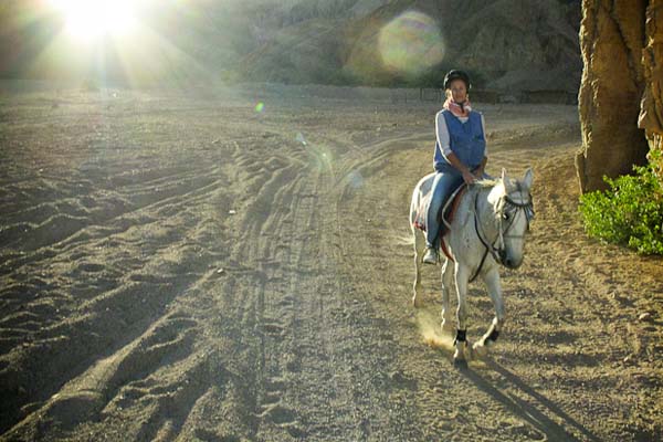 Horse riding in Sennen, Cornwall