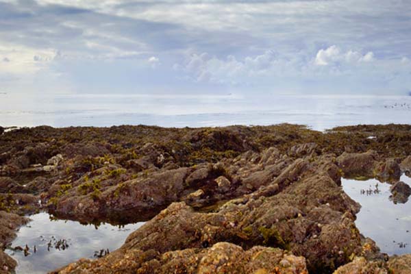 Rockpooling is perfect for kids in Sennen, Cornwall